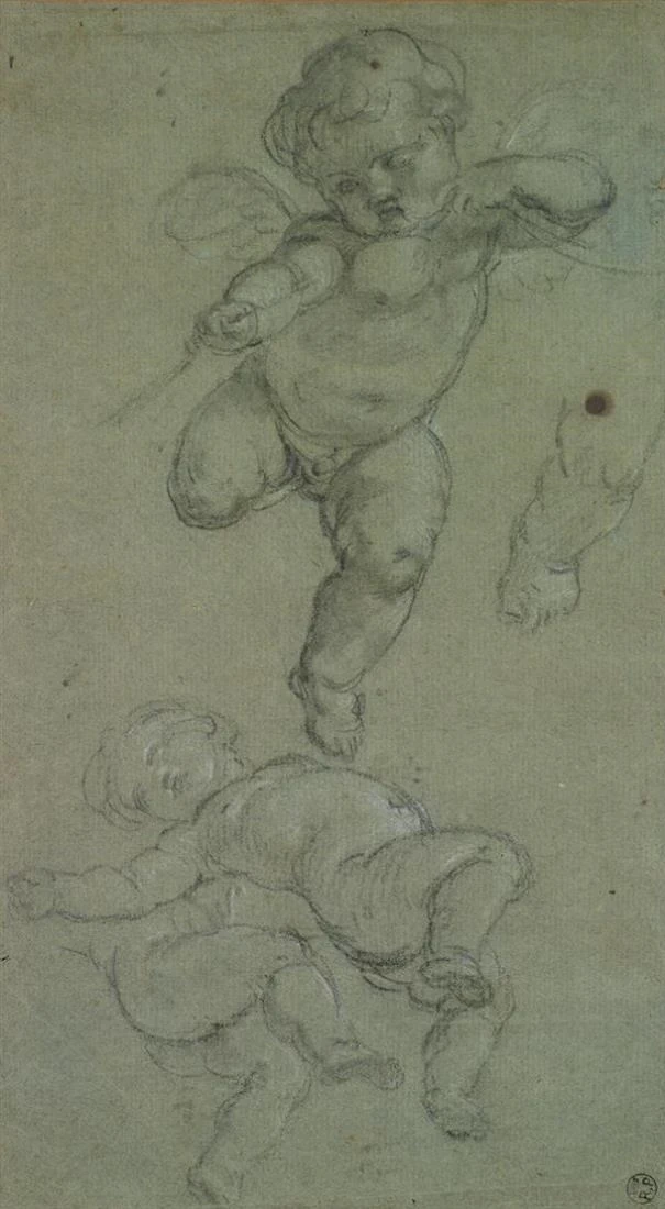 Studio di putti